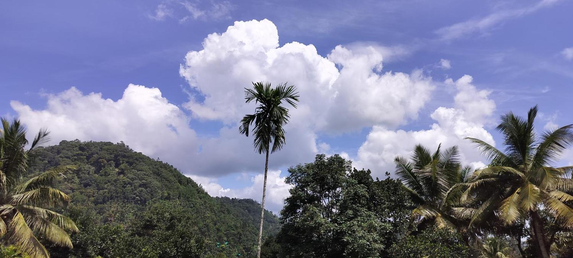 Himadri Munnar Holidays 외부 사진